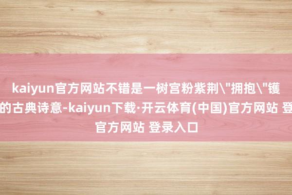 kaiyun官方网站不错是一树宫粉紫荆